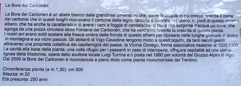 L''avez di Fontana Carboneri - Cavedine